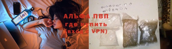 ПСИЛОЦИБИНОВЫЕ ГРИБЫ Нея