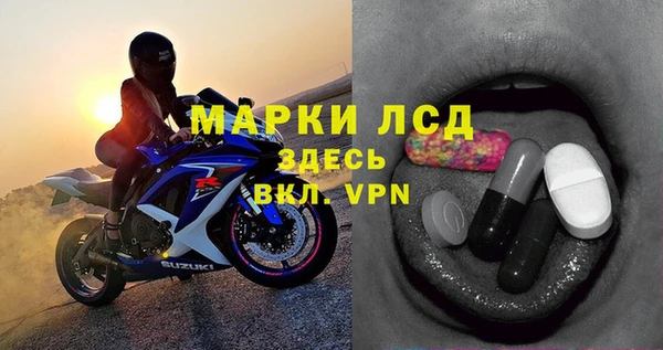 стафф Новозыбков