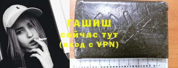 стафф Новозыбков