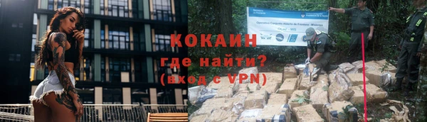 стафф Новозыбков