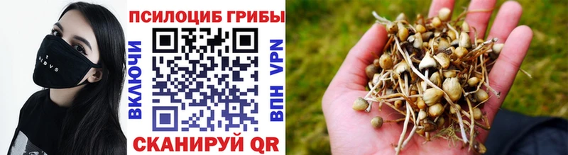 Галлюциногенные грибы ЛСД  цена   Фурманов 